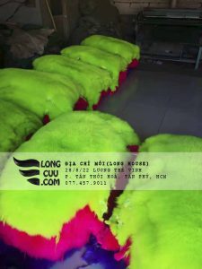 Cừu Úc - 1/4 Tấm