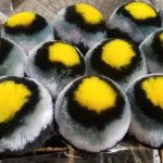 Châu 9 trung