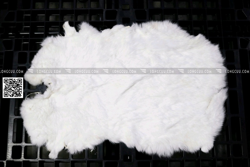 kiotviet_3d9f62af7587711b2a6740ca650b20b4